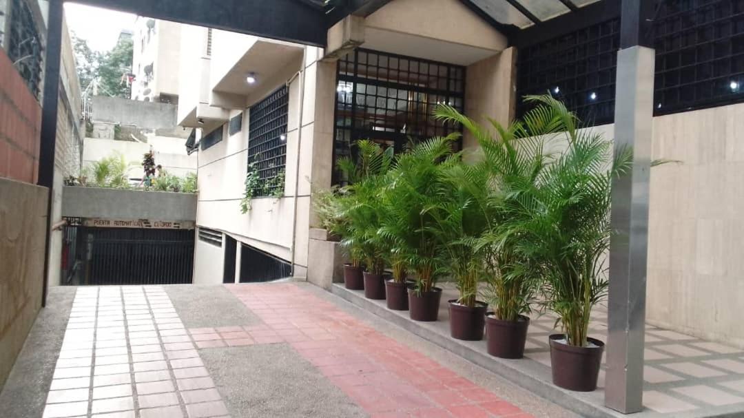 Hotel Plaza Venezuela كراكاس المظهر الخارجي الصورة
